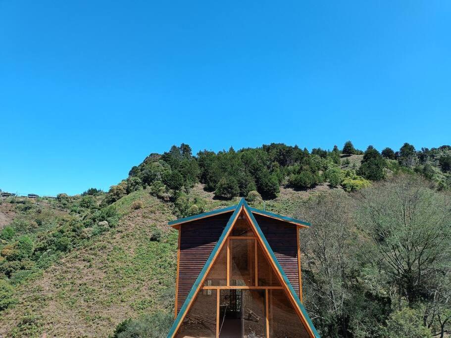 The Oak Dreams * Santa Maria